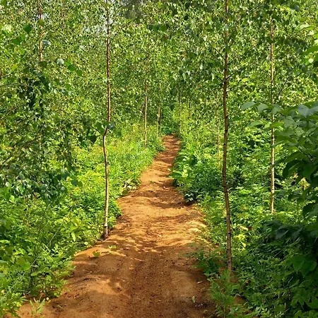 Feriehus Oravapesa & Saun *