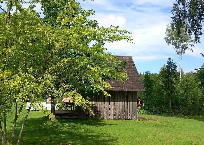 Oravapesa & Saun Kose (Ida-Viru)