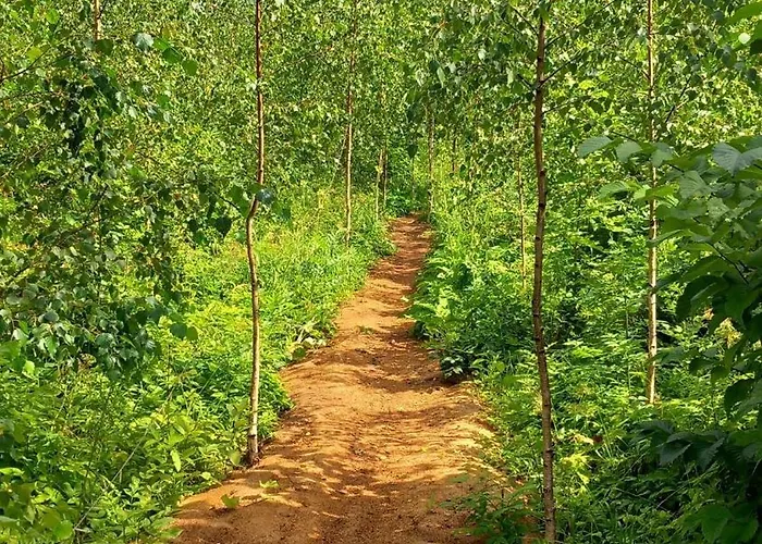 Nyaraló Oravapesa & Saun *